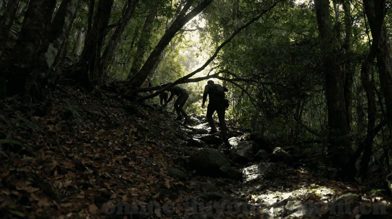 澳门金沙赌博平台-澳门金沙赌愽平台，探索澳门的娱乐圣地与体验